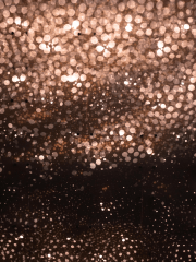 small photos on the bottom